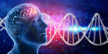 Representação 3D do cérebro humano e da estrutura do DNA, simbolizando o estudo da dopamina e seu impacto na felicidade.