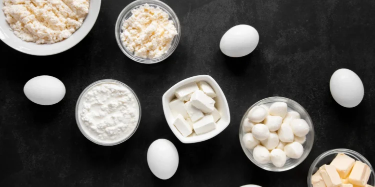 Produtos derivados do leite e ovos, como queijo e clara de ovo, são fontes ricas em albumina, uma proteína essencial para a recuperação muscular e crescimento de massa magra.