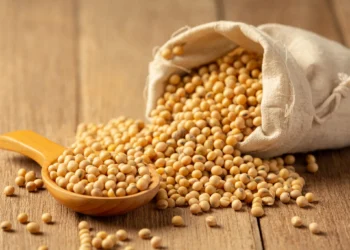 Grãos de soja dourados espalhados ao lado de colher de madeira em superfície rústica de madeira