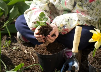 Criança plantando uma muda de morango no jardim, aprendendo a cultivar alimentos em casa.