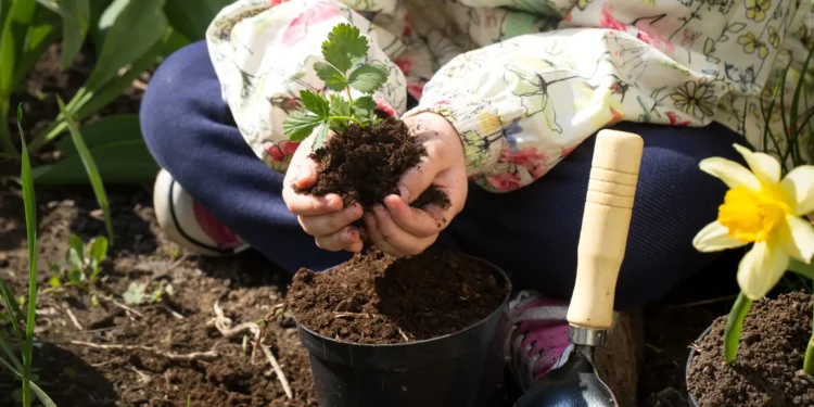 Criança plantando uma muda de morango no jardim, aprendendo a cultivar alimentos em casa.