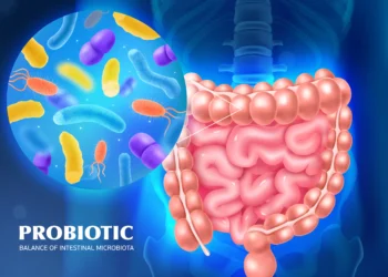 Imagem representando os probióticos atuando no intestino, simbolizando saúde intestinal e bem-estar.
