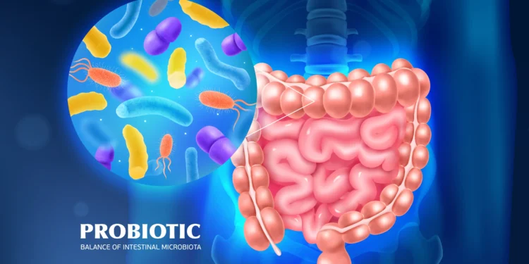Imagem representando os probióticos atuando no intestino, simbolizando saúde intestinal e bem-estar.