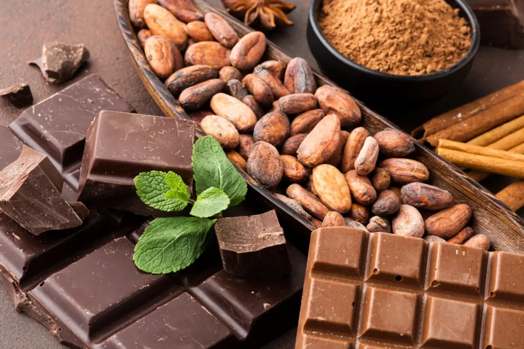 Cacau, chocolate e seus componentes como grãos de cacau, barras de chocolate e folhas.