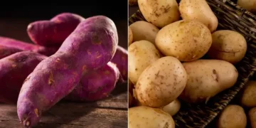Batata-doce e batata inglesa lado a lado, representando comparação entre os dois alimentos para treinos e dieta.