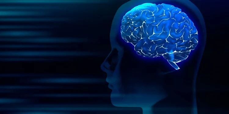Imagem digital mostrando o cérebro humano iluminado, representando a saúde mental e o envelhecimento.