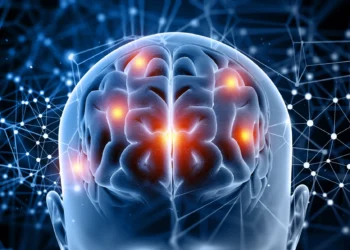 Imagem de cérebro em 3D com destaque em áreas relacionadas à concentração e foco, simbolizando o aumento da capacidade cognitiva em 5 minutos diários.