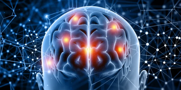Imagem de cérebro em 3D com destaque em áreas relacionadas à concentração e foco, simbolizando o aumento da capacidade cognitiva em 5 minutos diários.