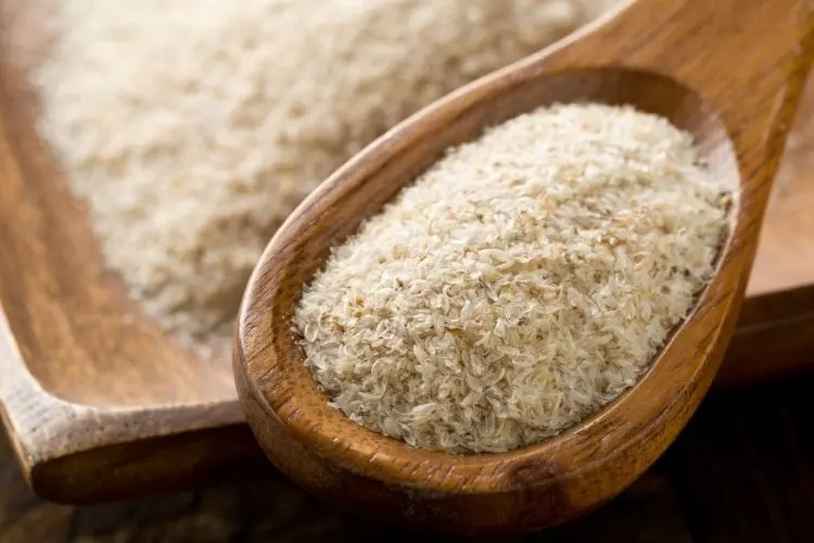 Psyllium em pó, em uma colher de madeira, usada como suplemento para melhorar a digestão e a saúde intestinal.