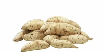Batata doce branca fresca empilhada — rica em nutrientes e benefícios para a saúde.